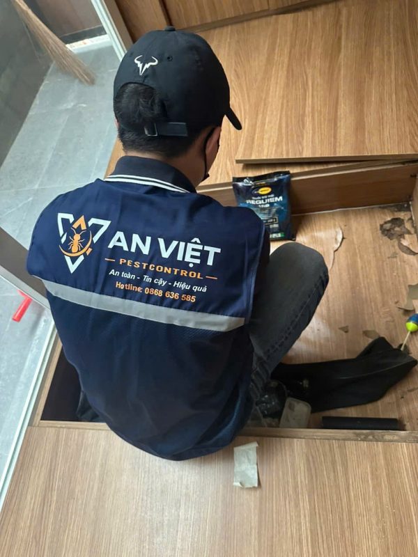 Công Ty TNHH Thương Mại Dịch Vụ Trừ Mối & Côn Trùng An Việt